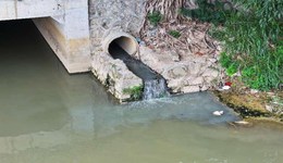 福建两市被点名：泉州污水直排城区70条内河，龙岩部分水体重度黑臭