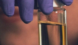 Amyris“敗局”啟示錄