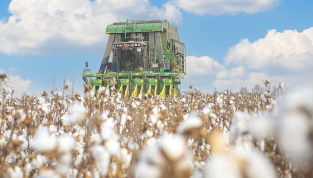 2023年新棉已交售98.2%，商业库存提升棉花收购价格走低