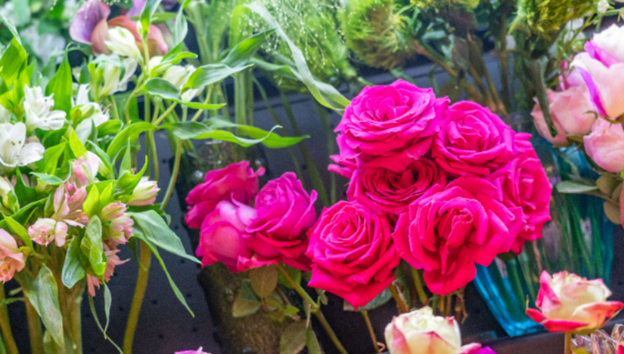 花加,鲜花电商,商业模式,