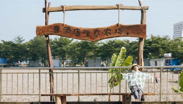 喂养小鸭、稻田插秧、小院围桌，一座酒店如何打造田园牧歌式的旅居生活