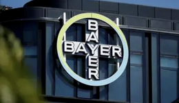 拜耳的 “红与黑”