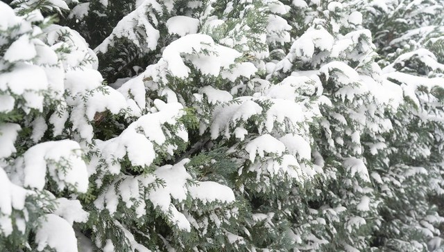 地方新闻精选｜江西70个县市区出现雨夹雪或雪 内蒙古警方破获涉案15亿网络传销案