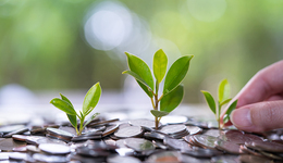 12月LPR继续原地踏步，明年仍有下调可能