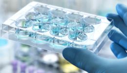 胡润全球猎豹榜单：深圳、广州企业数量领先，硬科技趋势明显