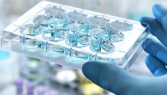 胡润全球猎豹榜单：深圳、广州企业数量领先，硬科技趋势明显