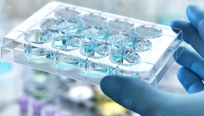 科技,深圳,广州