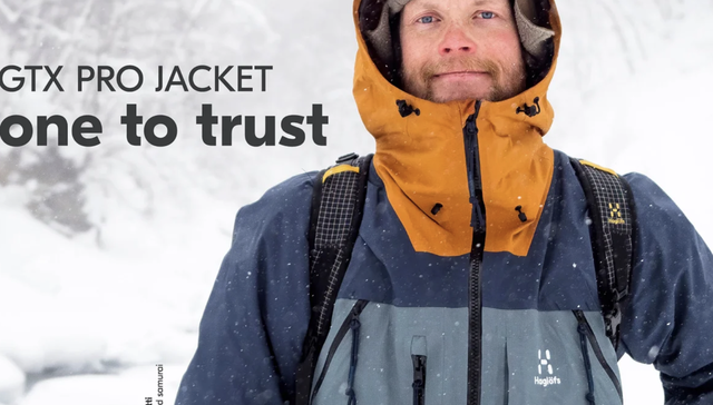 通过私募收购户外品牌Haglöfs，李宁寻找自己的“始祖鸟”