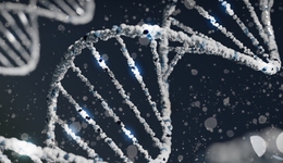 两年亏掉百亿，来自基因测序巨头的教训