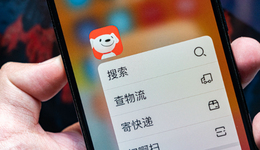 京东“低价”这一年