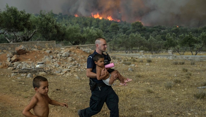气候变化,环境,年终盘点