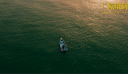 出海这一年，国产消费品牌得到了什么？