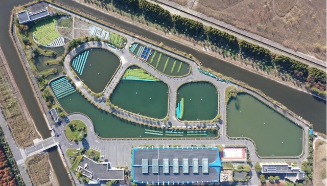 长江江豚，长江禁渔，中华鲟，水生生物,上海,上海市水生野生动植物保护研究中心