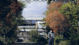 向前看，别回头 | 2023年度流行作品与社会心态盘点