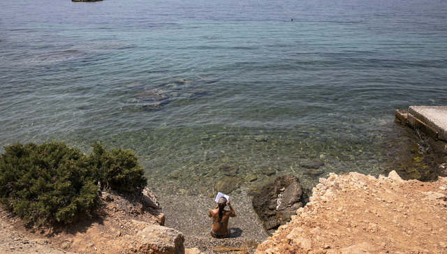 树木记得一切｜一周新书推荐