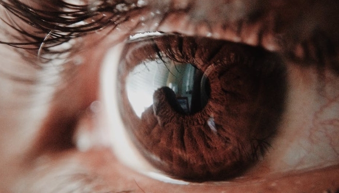 眼科医疗,创投,上市公司,