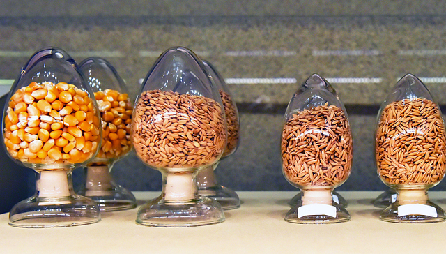 新农开发加码种业，但不走寻常路