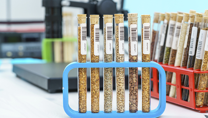 1.6亿元种业诉讼案遭驳回，恒基利马格兰仍有可能再诉金苑种业