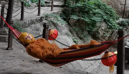 月薪6000招人扮孫悟空吃東西，景區(qū)回應(yīng)：條件優(yōu)秀工資還能漲