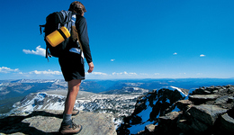 成为数字游民，然后呢？| 编辑部聊天室