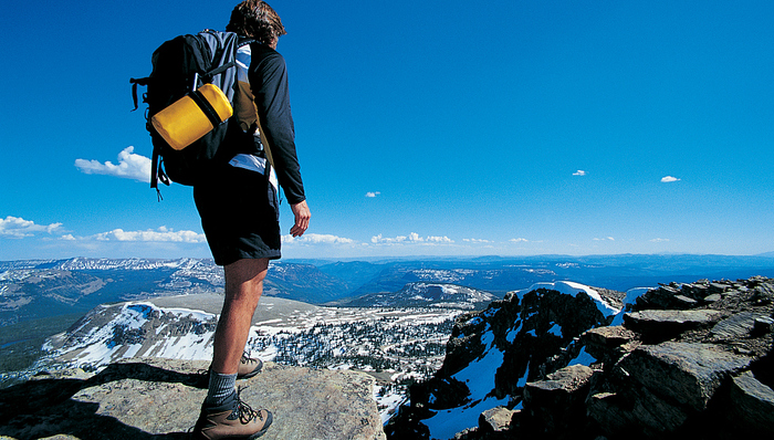 工作,自由职业者,劳动者