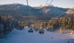 哈尔滨火爆背后，谁能成为“城市名片”？