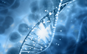 爆品迭出、带领行业发展，国内最大重组胶原蛋白公司巨子生物是如何做到的？