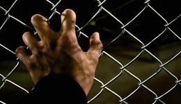 地方新聞精選｜四川去年勸返超2萬滯留境外涉詐高危人員 遼寧鼓勵畢業(yè)生入職養(yǎng)老服務(wù)領(lǐng)域