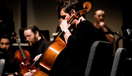 1200元门票仅值60元，山寨乐团“背刺”中产