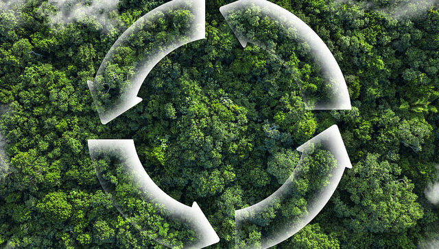 上海绿色金融服务平台亮相，工行、农行等13家银行率先入驻