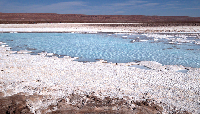 碳酸锂价格止跌，锂电板块反弹