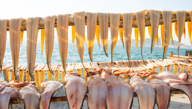 鳗鱼养殖成本还在涨，上游公司该怎么办？