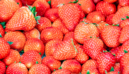 裸辞后，我决定回丹东卖草莓