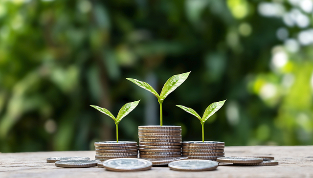 新年首次MLF操作利率维持不变，一季度仍有降息降准可能