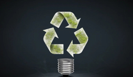 美妆产业转“绿”了