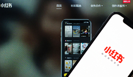 把小需求做成大生意，繞不開小紅書