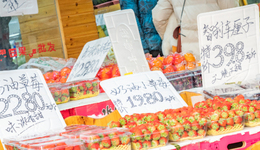 消费品牌众生相：爱马仕涨1万，苹果降800