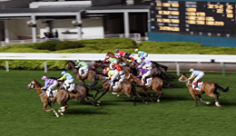 44年历史的澳门赛马跑不动了：亏损超25亿，将于4月停办