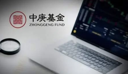 重倉股“換血” 規(guī)?？s水，中庚“頂流”基金經(jīng)理虧了7個(gè)億