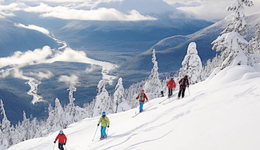 12天9板長(zhǎng)白山市值猛增超60億元，公司緊急提示：冰雪項(xiàng)目收入占比較小