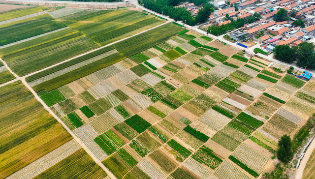 界面城市智库,三十人大数据研究院,2023年全国县域两百强宜商水平报告,青岛,胶州市,宜商水平,山东