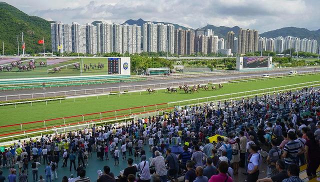 香港赛马跑进越来越多年轻人的心