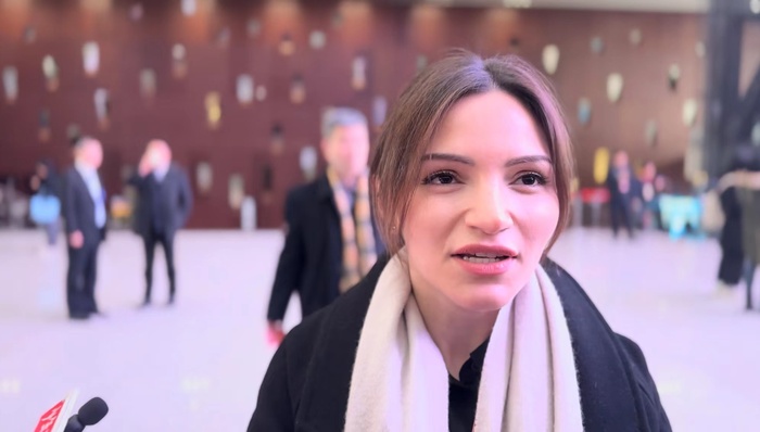 上海,两会,外籍,政协,繁花