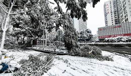 【图集】一起来看看各地雪景