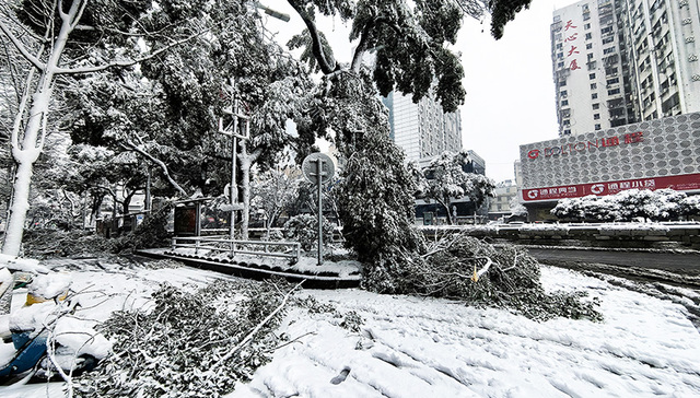 【图集】一起来看看各地雪景