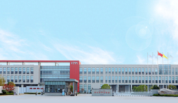 罗普斯金股价大涨大跌，遭投资者声讨，公司回应：软件“出错”