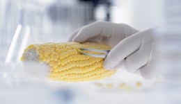 直通部委｜我国将稳慎有序推进转基因产业化 首批救灾物资已运抵新疆地震灾区