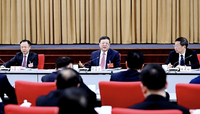 经济要挑大梁，改革要当先锋，民生要作标杆！陈吉宁参加浦东代表团审议｜上海两会