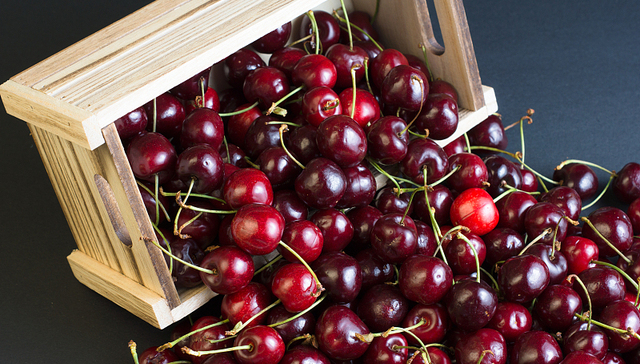 价格暴跌七成，“车厘子自由”是海运直航给的