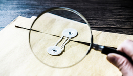 直通部委｜去年纪检监察机关立案中管干部87人 大熊猫野外种群总量增长到近1900只